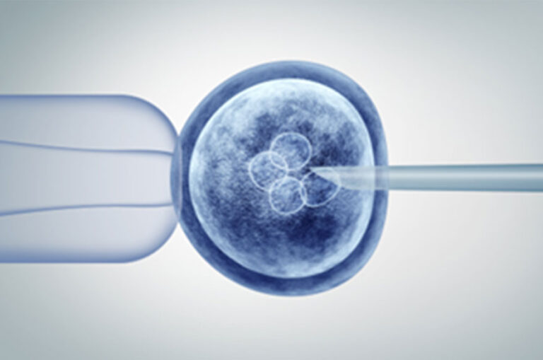 In Vitro Fertilisation Ivf For Same Sex Couples Barker Evans 